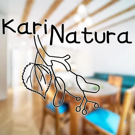 Karinatura Ljubljana Exterior photo
